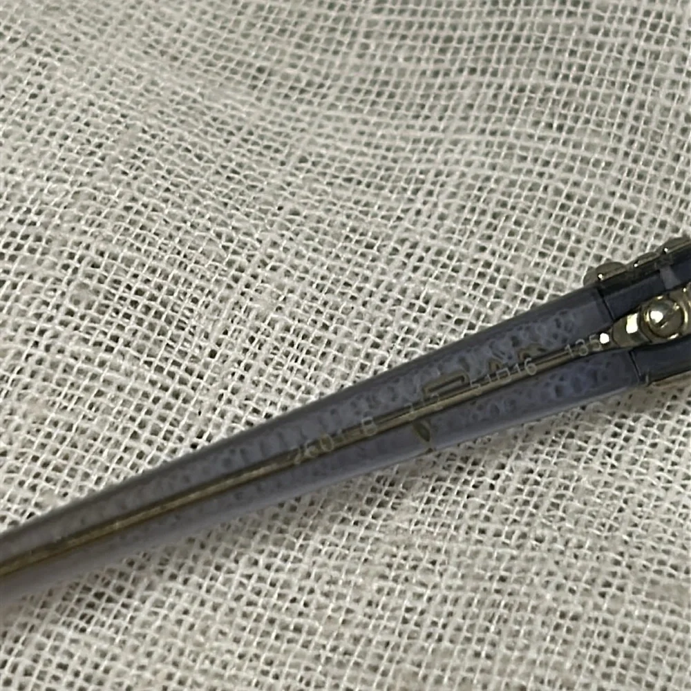 Salvatore Ferragamo frames with crystals and a case